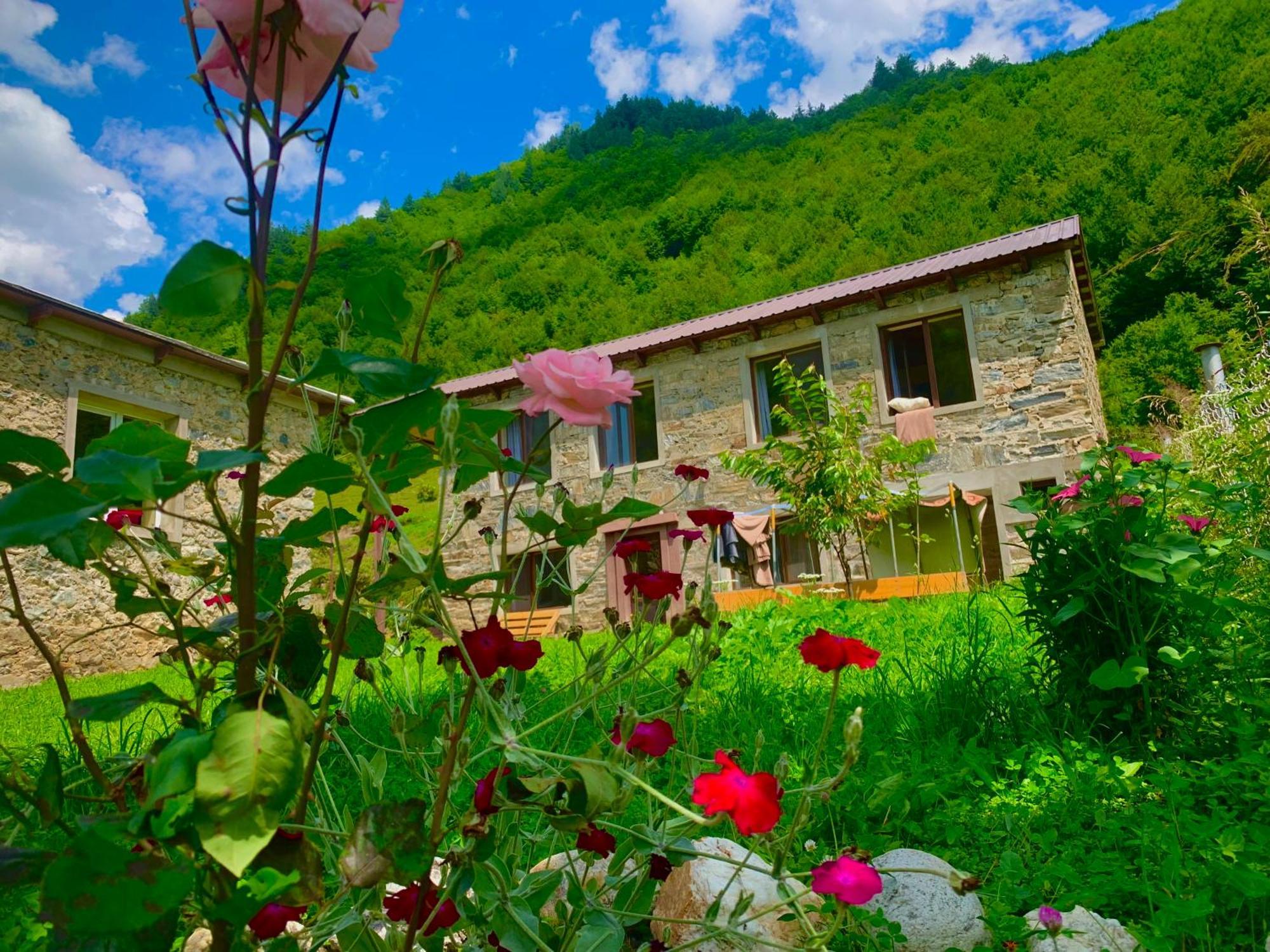 River Side Svaneti Местія Екстер'єр фото