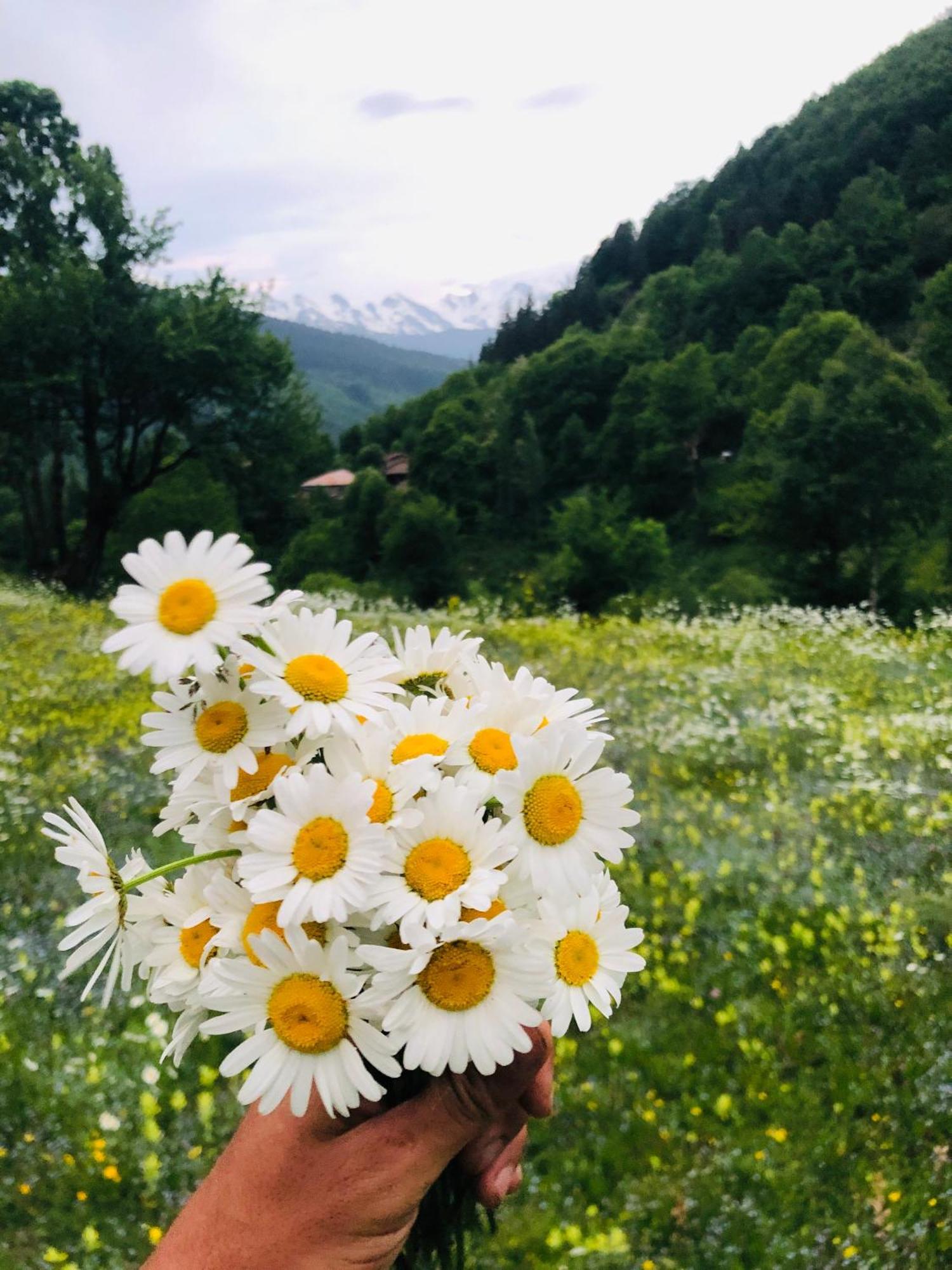 River Side Svaneti Местія Екстер'єр фото